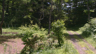 長野県菅平高原 ゆたか山荘 坂上 2026/07/08 10:30