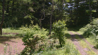 長野県菅平高原 ゆたか山荘 坂上 2026/07/08 10:45