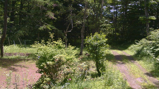 長野県菅平高原 ゆたか山荘 坂上 2026/07/08 11:00