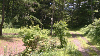 長野県菅平高原 ゆたか山荘 坂上 2026/07/08 11:30