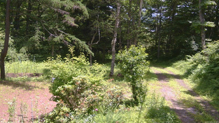長野県菅平高原 ゆたか山荘 坂上 2026/07/08 11:45