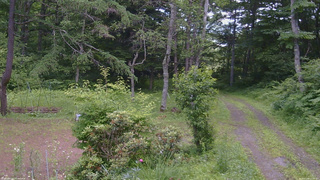 長野県菅平高原 ゆたか山荘 坂上 2026/07/08 12:00