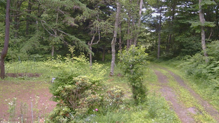 長野県菅平高原 ゆたか山荘 坂上 2026/07/08 12:30