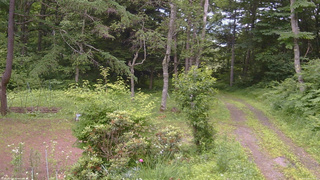 長野県菅平高原 ゆたか山荘 坂上 2026/07/08 12:45