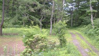 長野県菅平高原 ゆたか山荘 坂上 2026/07/08 13:00