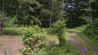 長野県菅平高原 ゆたか山荘 坂上 2026/07/08 13:15