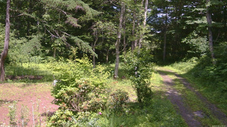 長野県菅平高原 ゆたか山荘 坂上 2026/07/08 13:30