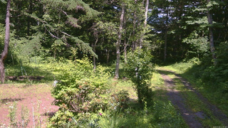 長野県菅平高原 ゆたか山荘 坂上 2026/07/08 13:45