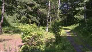 長野県菅平高原 ゆたか山荘 坂上 2026/07/08 14:00