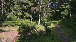 長野県菅平高原 ゆたか山荘 坂上 2026/07/08 14:30