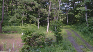 長野県菅平高原 ゆたか山荘 坂上 2026/07/08 14:45