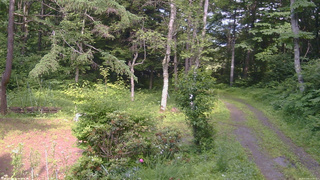 長野県菅平高原 ゆたか山荘 坂上 2026/07/08 15:00