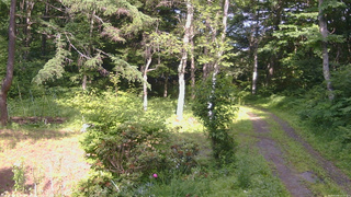 長野県菅平高原 ゆたか山荘 坂上 2026/07/08 15:15