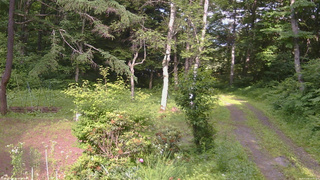 長野県菅平高原 ゆたか山荘 坂上 2026/07/08 15:45