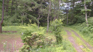 長野県菅平高原 ゆたか山荘 坂上 2026/07/08 16:30