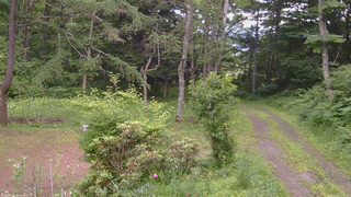 長野県菅平高原 ゆたか山荘 坂上 2026/07/08 17:00