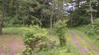 長野県菅平高原 ゆたか山荘 坂上 2026/07/08 17:45