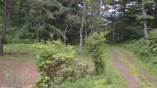 長野県菅平高原 ゆたか山荘 坂上 2026/07/08 18:15