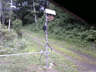 長野県菅平高原 ゆたか山荘 南側 2026/07/09 15:45
