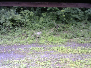 長野県菅平高原 ゆたか山荘 東側(坂下) 2026/07/09 11:00
