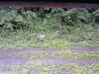 長野県菅平高原 ゆたか山荘 東側(坂下) 2026/07/09 12:00