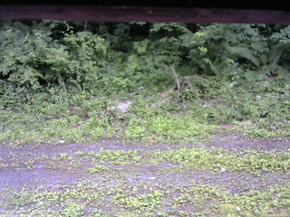 長野県菅平高原 ゆたか山荘 東側(坂下) 2026/07/09 12:45