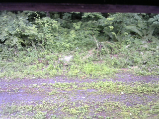 長野県菅平高原 ゆたか山荘 東側(坂下) 2026/07/09 13:15