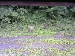 長野県菅平高原 ゆたか山荘 東側(坂下) 2026/07/09 13:45