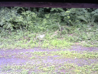 長野県菅平高原 ゆたか山荘 東側(坂下) 2026/07/09 14:30