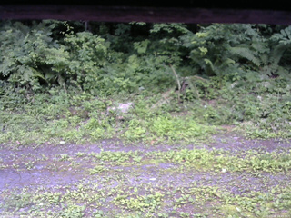 長野県菅平高原 ゆたか山荘 東側(坂下) 2026/07/09 14:45