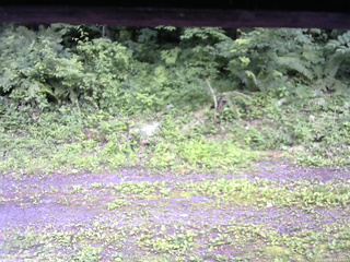 長野県菅平高原 ゆたか山荘 東側(坂下) 2026/07/09 15:15