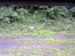 長野県菅平高原 ゆたか山荘 東側(坂下) 2026/07/09 16:15