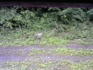 長野県菅平高原 ゆたか山荘 東側(坂下) 2026/07/09 17:00