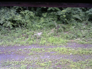 長野県菅平高原 ゆたか山荘 東側(坂下) 2026/07/09 17:15