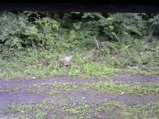 長野県菅平高原 ゆたか山荘 東側(坂下) 2026/07/09 18:15
