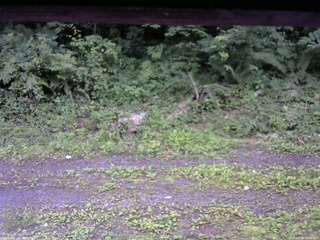 長野県菅平高原 ゆたか山荘 東側(坂下) 2026/07/09 19:00