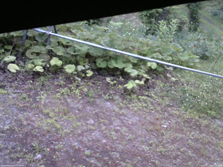 長野県菅平高原 ゆたか山荘 駐車場 2026/07/09 05:45