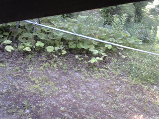 長野県菅平高原 ゆたか山荘 駐車場 2026/07/09 06:45