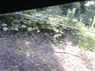 長野県菅平高原 ゆたか山荘 駐車場 2026/07/09 07:00