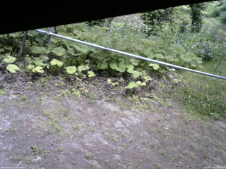 長野県菅平高原 ゆたか山荘 駐車場 2026/07/09 12:00