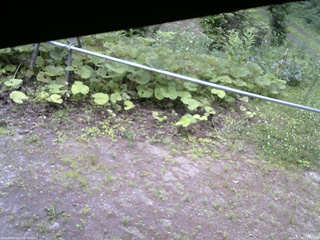 長野県菅平高原 ゆたか山荘 駐車場 2026/07/09 17:15
