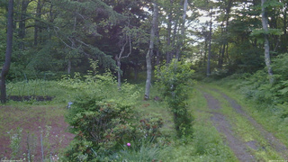 長野県菅平高原 ゆたか山荘 坂上 2026/07/09 05:00