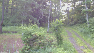 長野県菅平高原 ゆたか山荘 坂上 2026/07/09 05:15