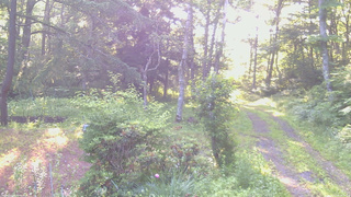 長野県菅平高原 ゆたか山荘 坂上 2026/07/09 06:15