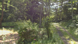 長野県菅平高原 ゆたか山荘 坂上 2026/07/09 08:15