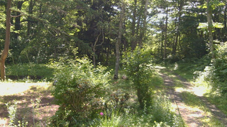長野県菅平高原 ゆたか山荘 坂上 2026/07/09 08:45