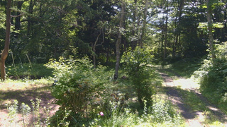 長野県菅平高原 ゆたか山荘 坂上 2026/07/09 09:15