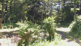 長野県菅平高原 ゆたか山荘 坂上 2026/07/09 09:30
