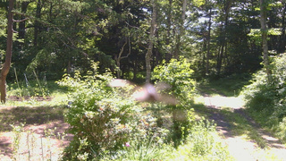 長野県菅平高原 ゆたか山荘 坂上 2026/07/09 09:45