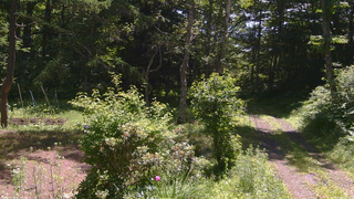 長野県菅平高原 ゆたか山荘 坂上 2026/07/09 10:00